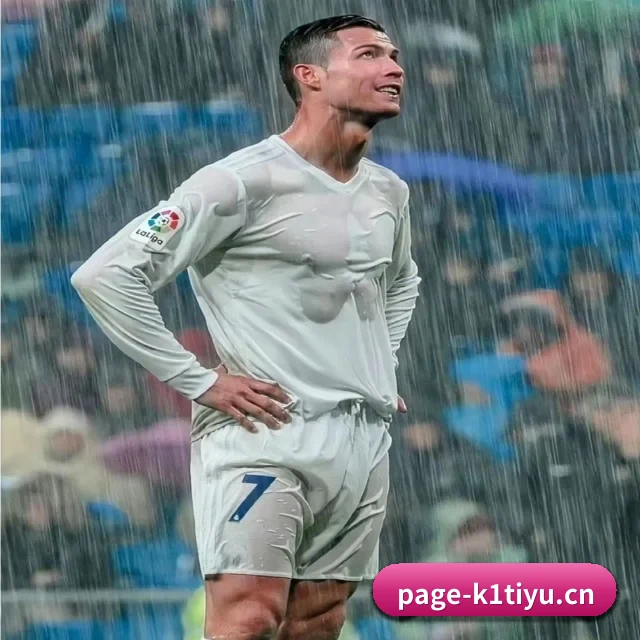K1体育网页直连 APP